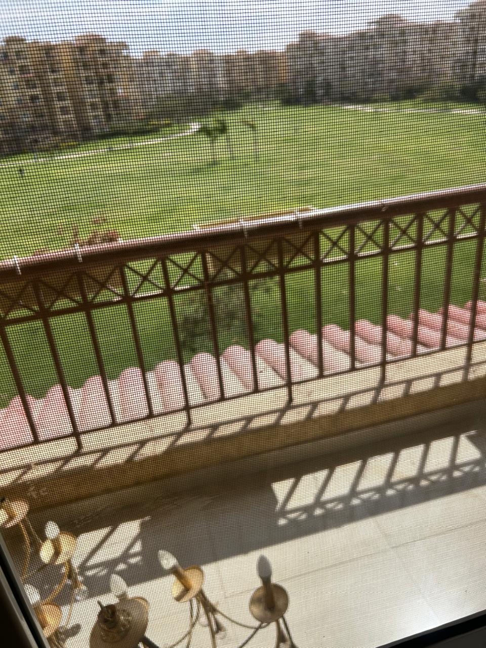 شقة في مدينتي 240 م2 للإيجار مفروش على حديقة كبيرة تشطيب سوبر لوكس 60,000 ج 